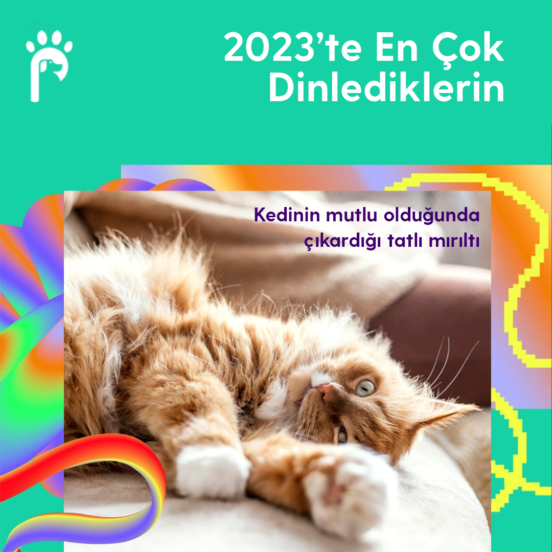 Bu sene en huzur bulduğun ses kedinin mutlu olduğunda çıkardığı tatlı mırıltı olmuş. 😍🐾

#patiwe #kidolog #SpotifyWrapped