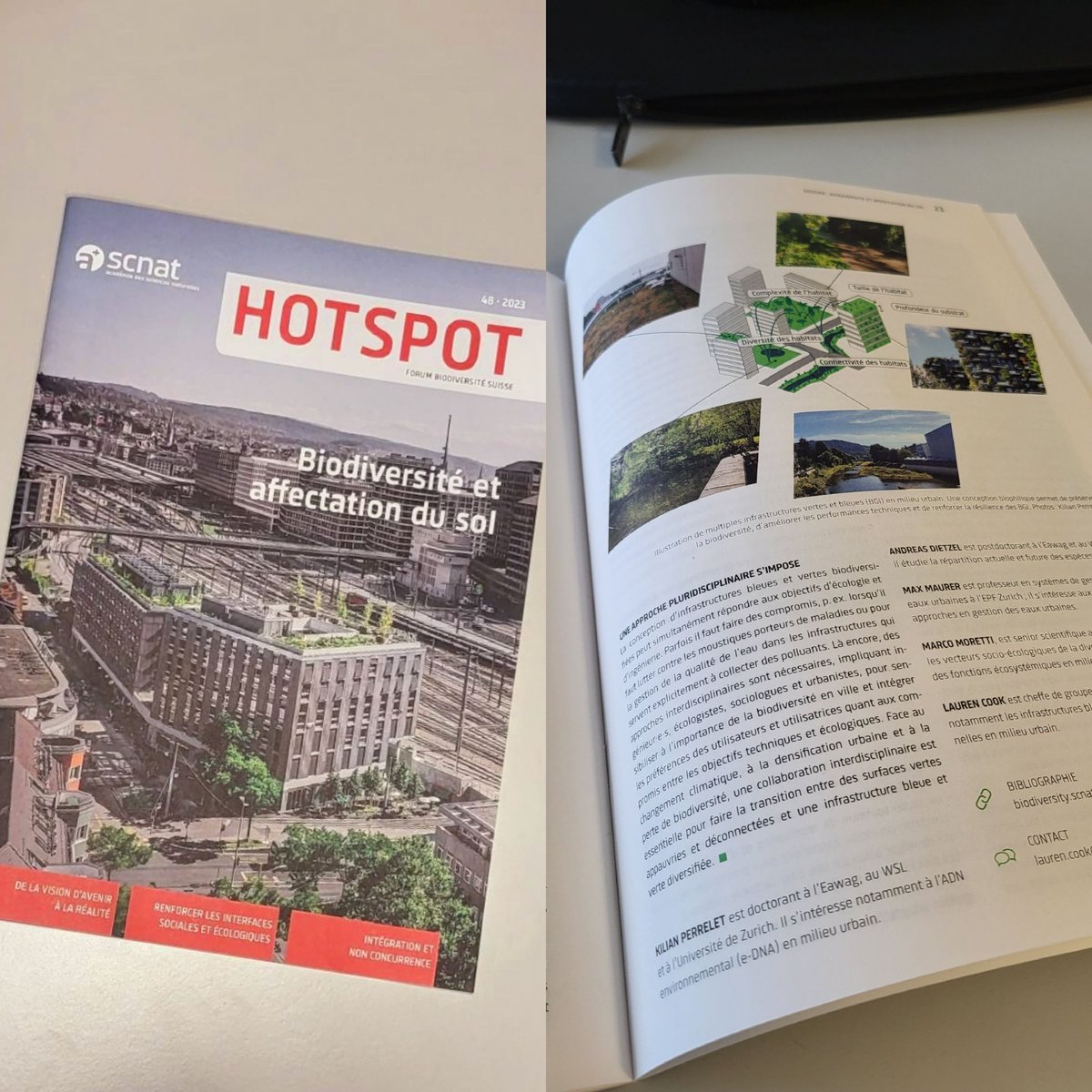 Thanks <a href="/scnatCH/">SCNAT</a> for the opportunity  to share our work on engineering FOR and WITH biodiversity featured in the latest #HOTSPOT! 
Biodiversity as an ally rather than side product when designing blue-green infrastructure in cities 🌱🤝🏢