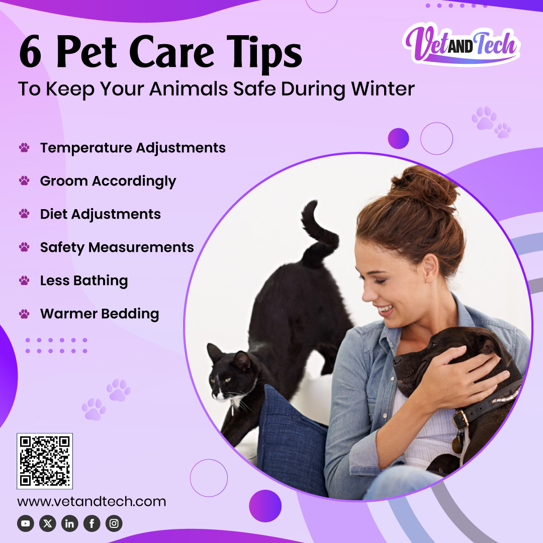 VetandTech's tweet image. Explore the enchanting guide, &quot;6 Pet Care Tips To Keep Your Animals Safe During Winter,&quot; and unlock a treasure trove of insights to make this season their coziest yet. 

Read the full blog: tinyurl.com/yqq6qyok

#WinterPetCare #PetSafetyTips #ColdWeatherPets #WinterWellness