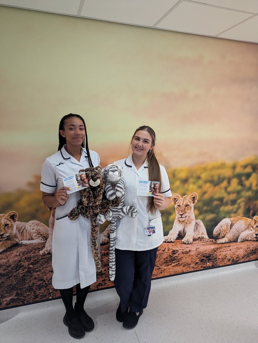 MidlandsPaedRT's tweet image. Thank you @Larsens_Pride for our JellyCat delivery!! An amazing idea to support children with brain tumours! A big cat was used today to hug a very brave child whilst they had their radiotherapy mask made! They go well with our animal themed radiotherapy room! @BchNeuroOnc
