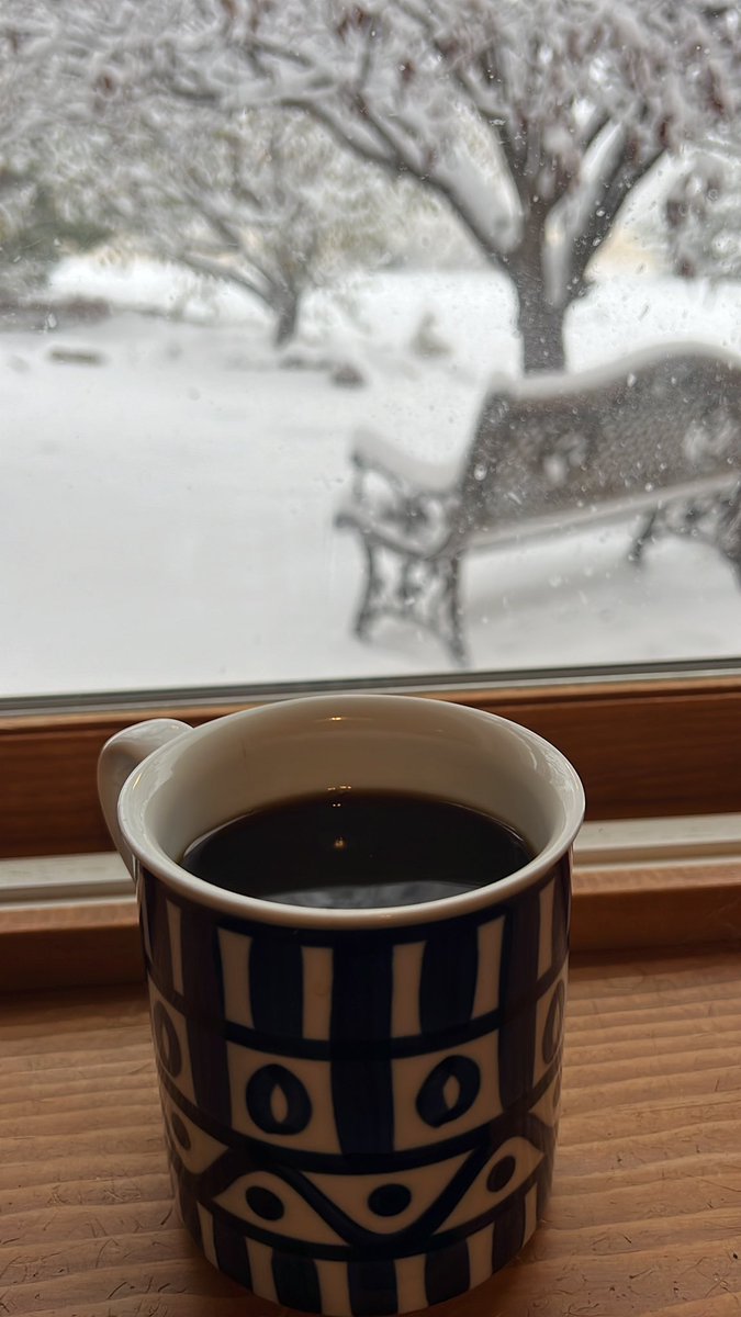 RunnerWineBeach's tweet photo. It’s still snowing. I may have to go out and play in it later. #dothethings #denatime #playawhenyoucan https://t.co/Btj0YcJH1i