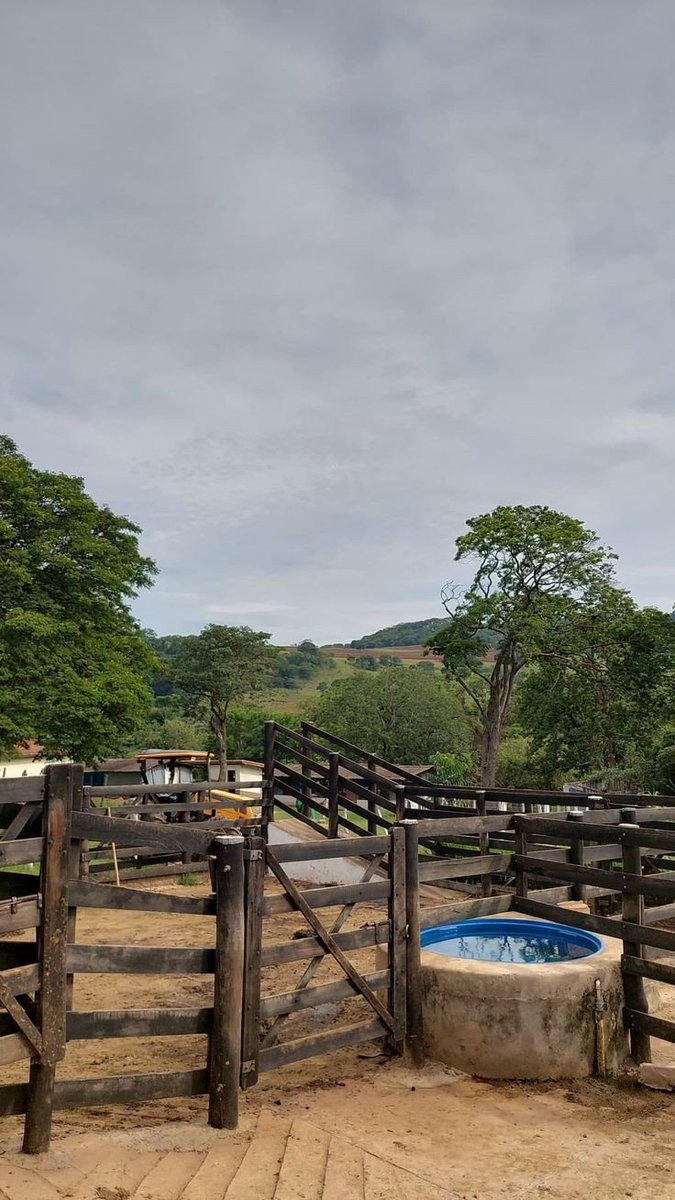 pullthegreen's tweet photo. bom dia! os trabalhos por aqui começaram mais tarde hj mas todo mundo já tá alimentado e bem cuidado. 🤞🏻 vamo q vamo pq hj o trem vai ser puxado 🐎💨 https://t.co/cs8G4IdWIG