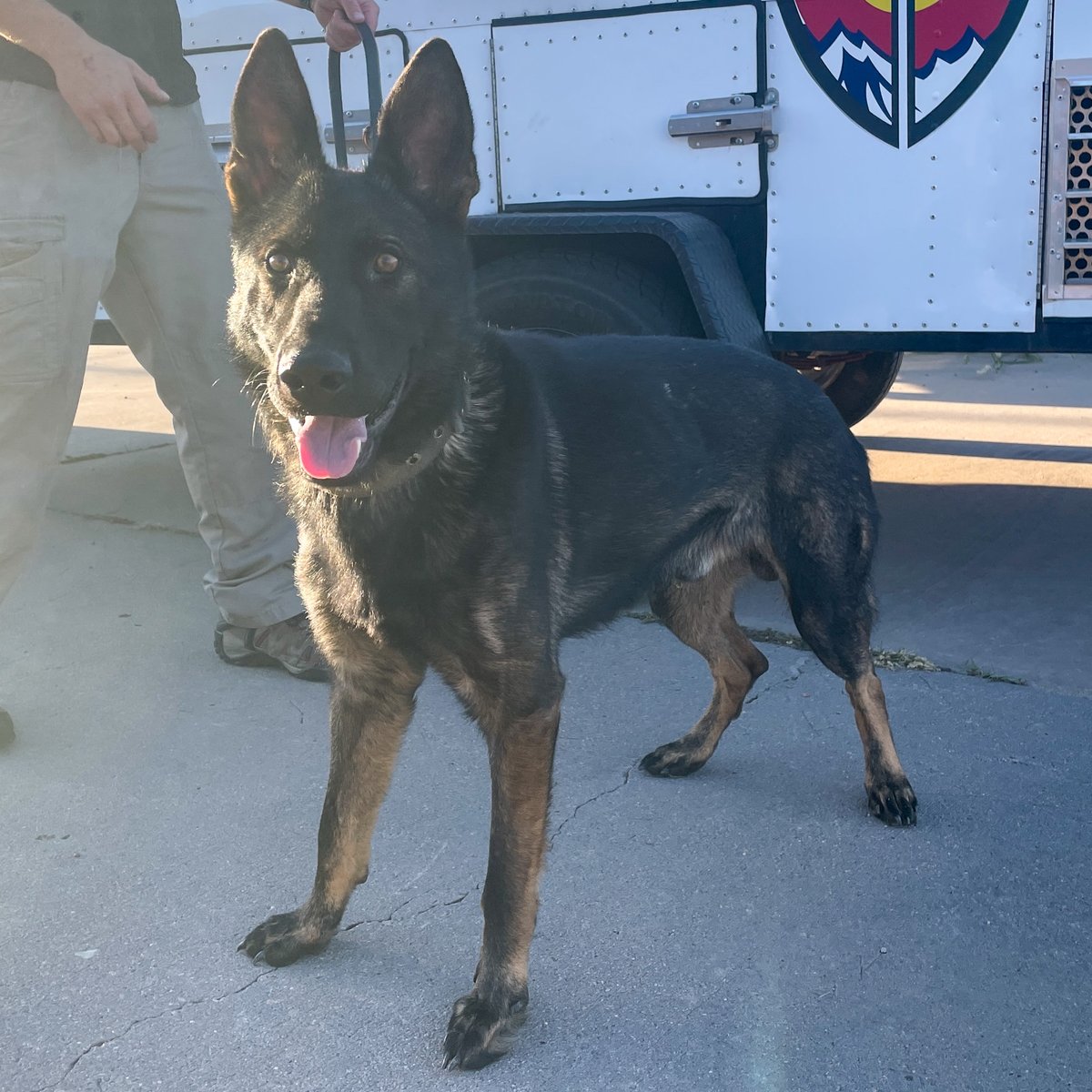 Björn dlvr.it/SzWp5C