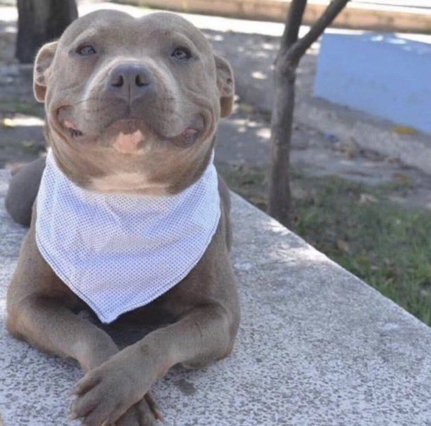 Coffee was made by a blue haired chick, today will be a good day