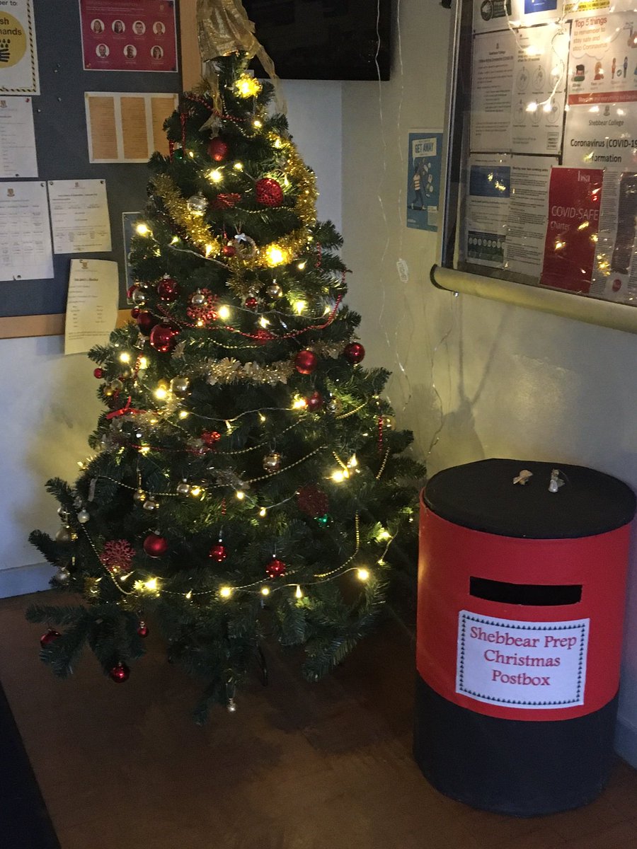 ShebbearPrep's tweet image. The children have done a terrific job decorating the Prep School tree today. #almostdecember @ShebbearCollege