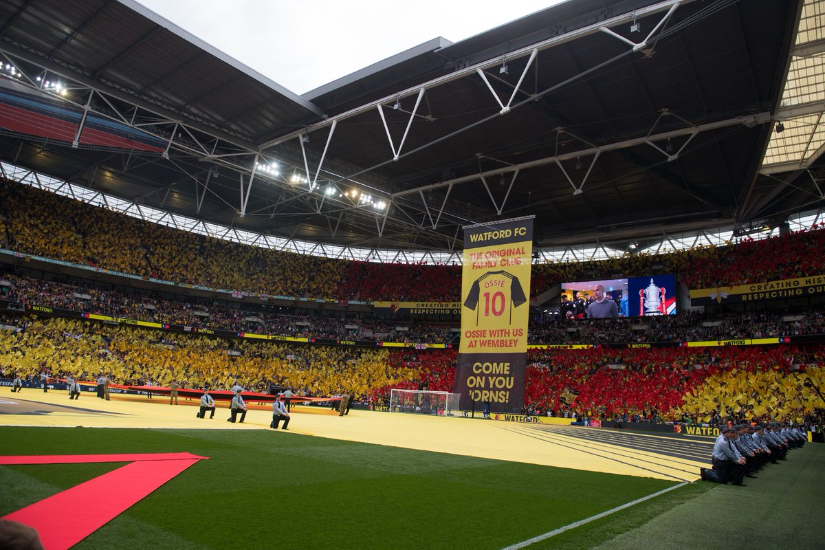 Thinking of Ossie, on what would’ve been his 18th birthday. 💛

Gone but never forgotten. 🫶