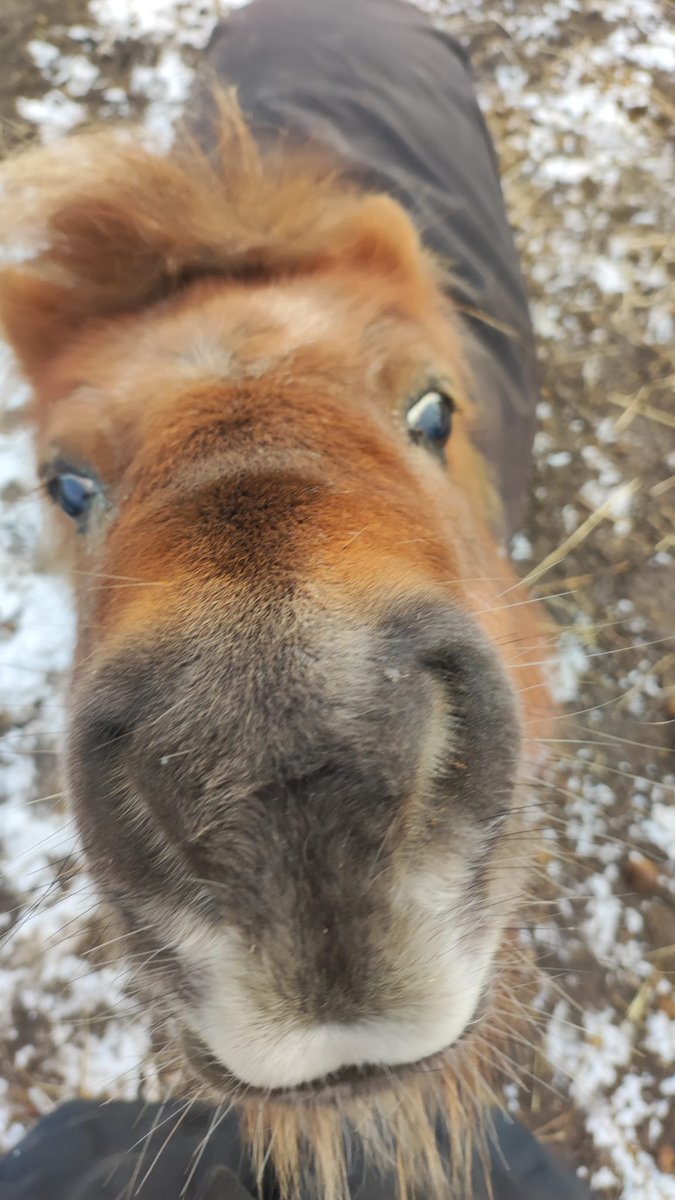 my sister got a new little pony called Lucie...find some similarities 🤣👇