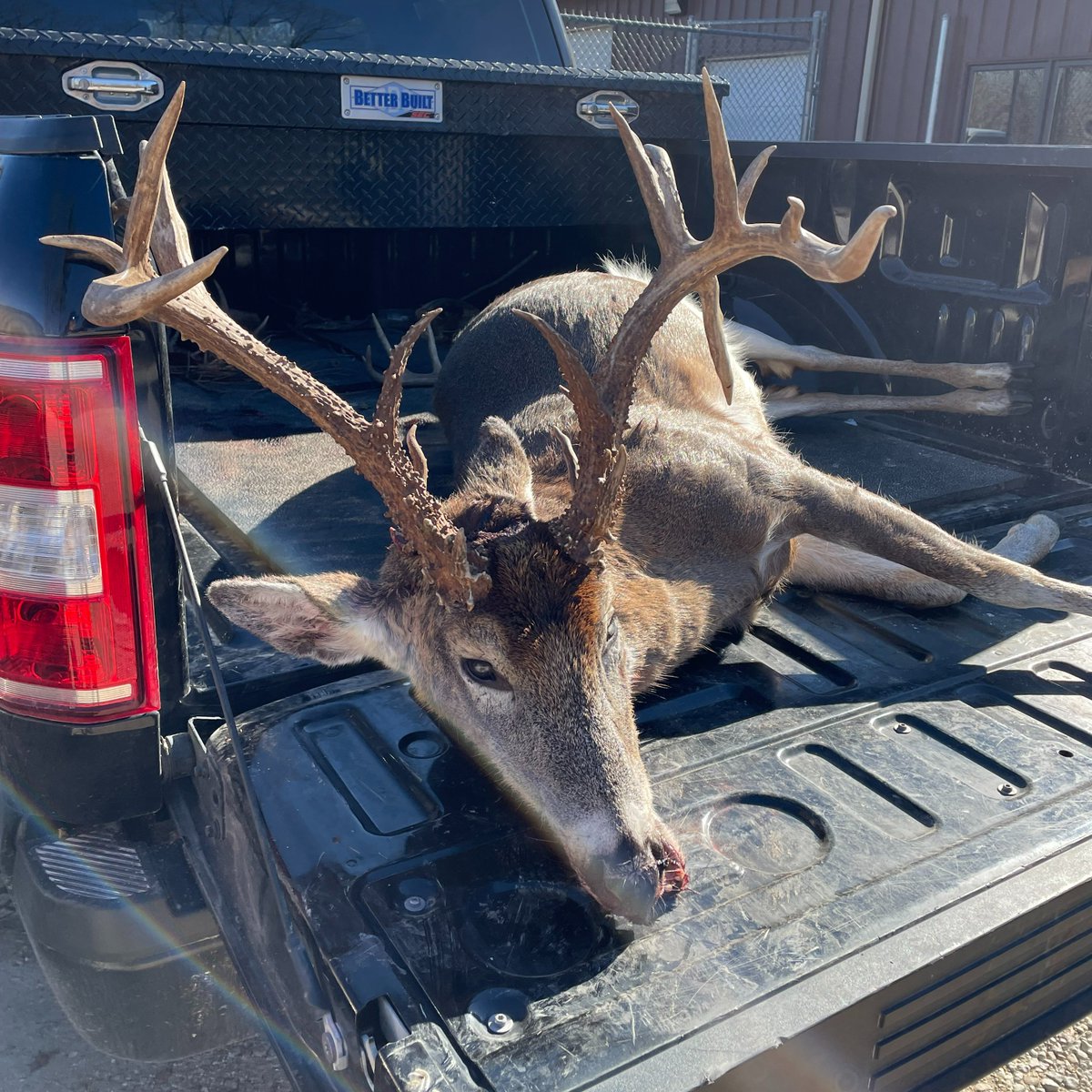 MDC_online's tweet photo. Do you recognize this deer? This large whitetail with a unique rack is the subject of a poaching investigation in the Crawford Co./Iron Co. area. If you have info or you recognize this deer from your game camera, call Cpl. Kyle Clinton at 573-308-7931. https://t.co/0T1u2X28kh