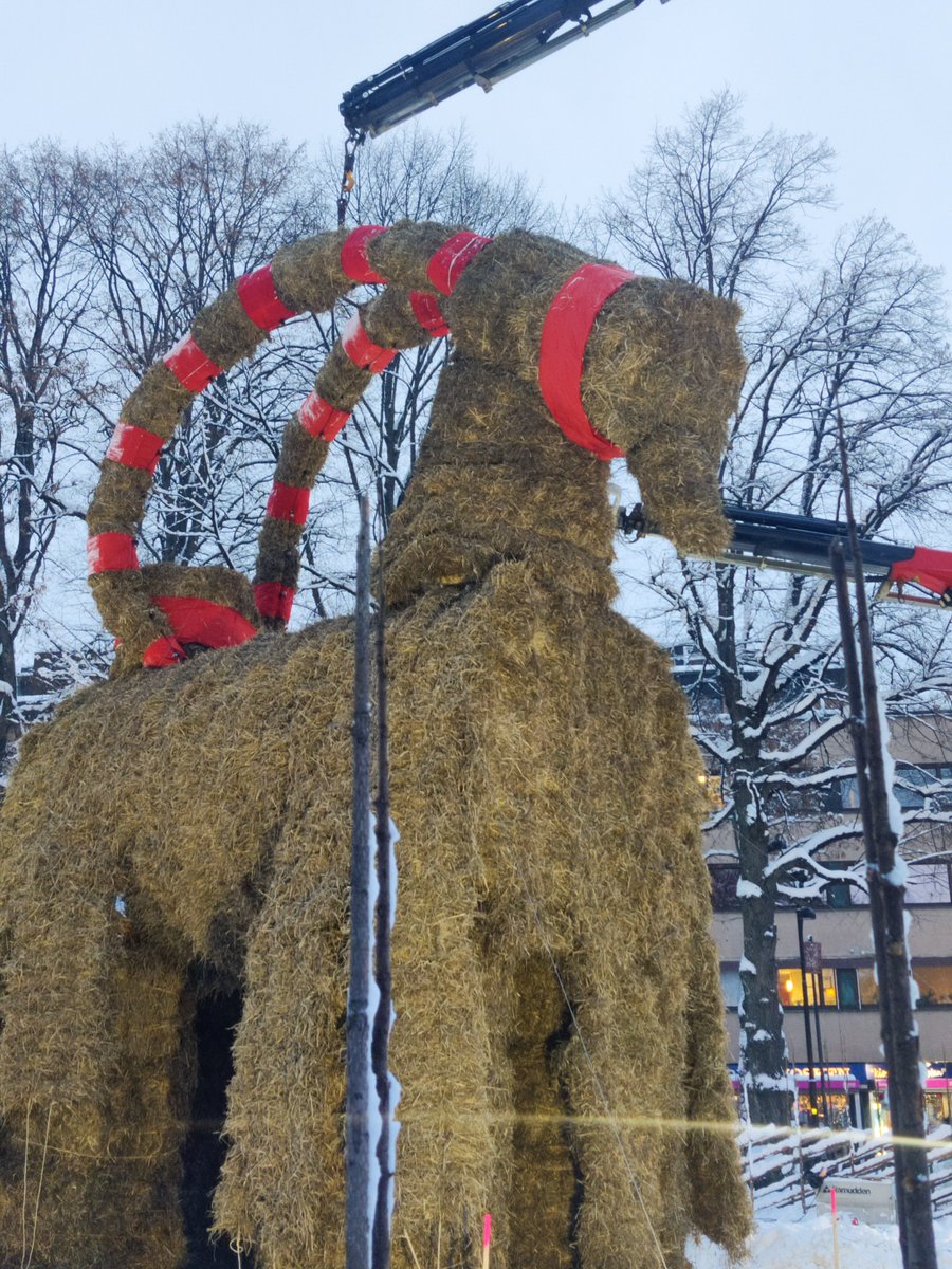 A king needs his crown. It feels good to be bock. 👑