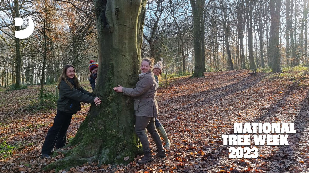 PinstoneComms's tweet photo. Five of the team (and three doggos) made the most of the autumn sunshine for a lunchtime turn around beautiful @QueenswoodArb as a way of embracing #NationalTreeWeek.
Its always good to get #BacktoNature for a mind reset! #TreeTime #TreeHuggersUnite #Wellbeing https://t.co/wloafkGLHI