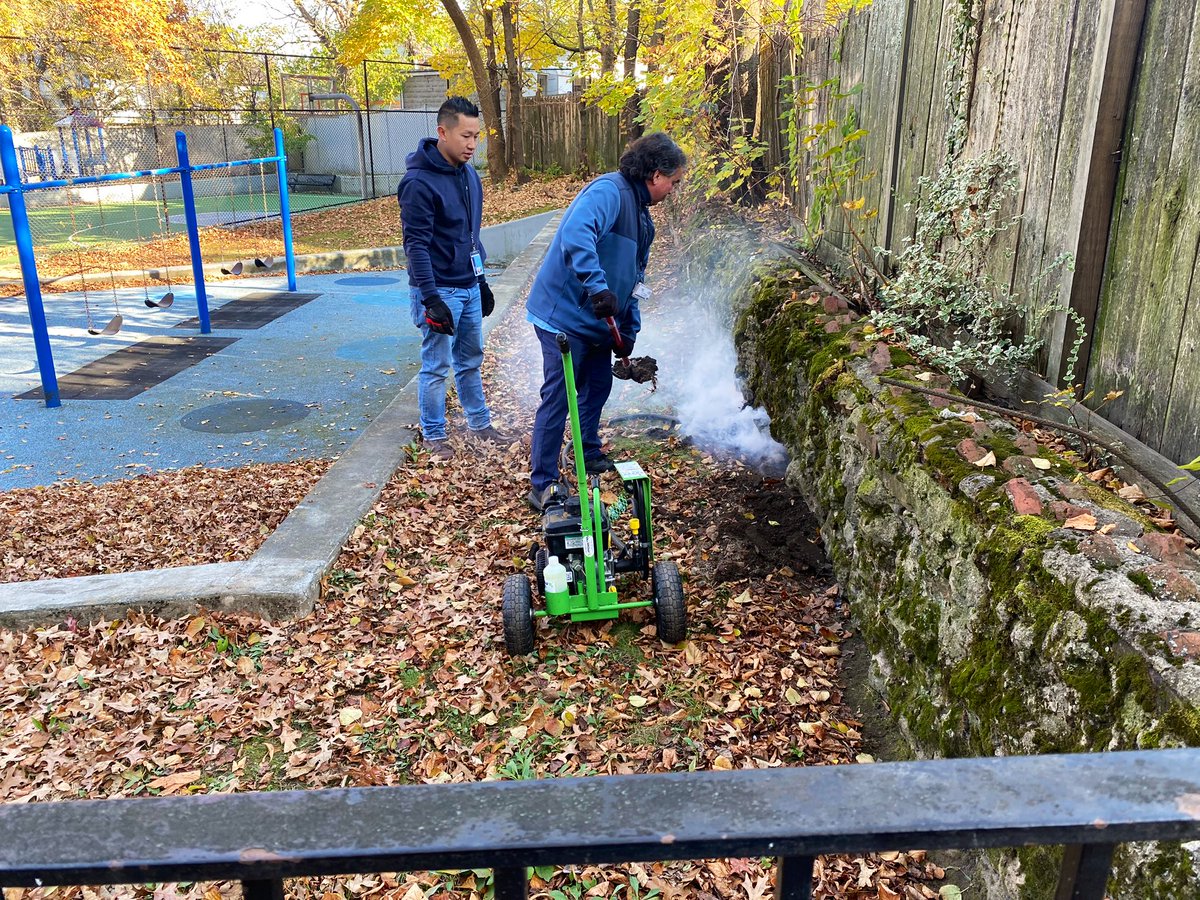 UrFrenEm's tweet photo. A Team @Ruthzee pet (🐀) project: rodents &amp; trash! This week involved supporting pilot programs in JP and Roxbury to abate pests and keep the streets clean. Big big shoutout to @BostonPWD &amp; @ISDBoston 

…and got to see some hens. You can take the girl out of KS https://t.co/D2AHVF9zcr
