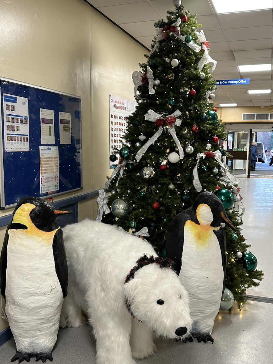 Cheryl Ann 💙 tweet media