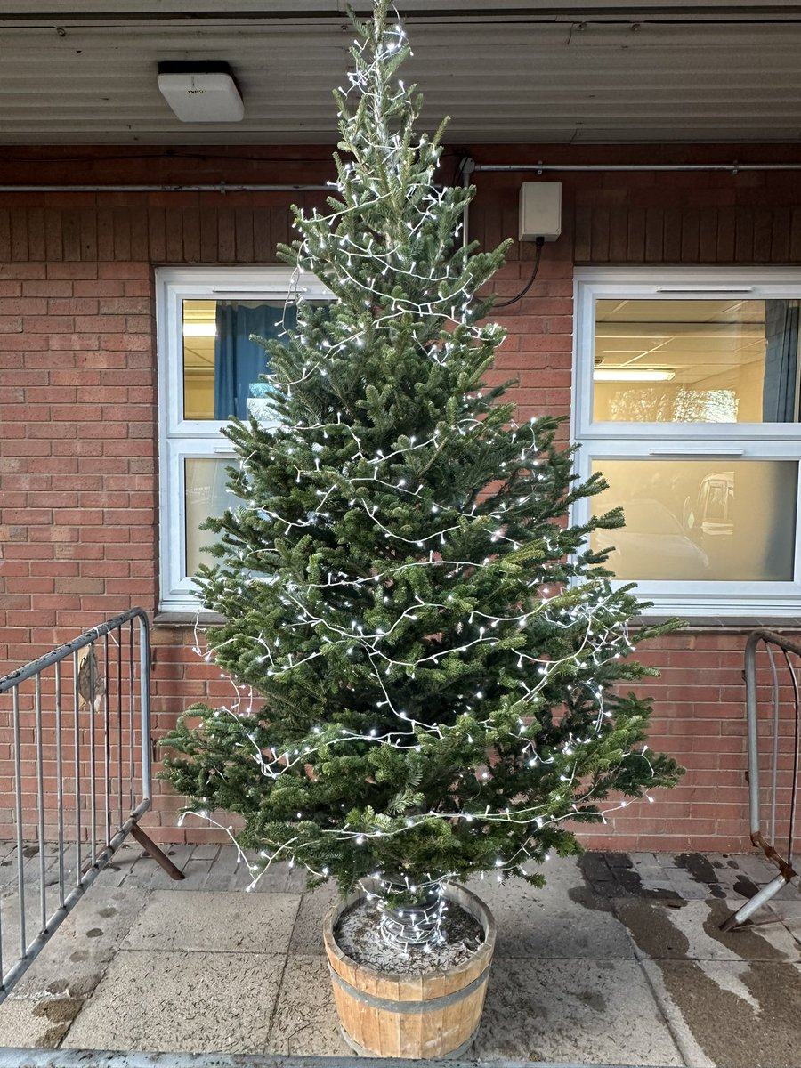 Cheryl Ann 💙 tweet media