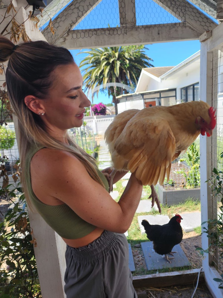 ChloGeraghty's tweet photo. It’s been an eventful day 🥳

Held a chicken, popped into @AfricaGamesWeek &amp; now we’re setting up for a little razzle for @ContentBook_Co &amp; @stubafrica 🤩 https://t.co/yKPH1TrOoG