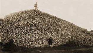 Governments Messing With The Weather
Is Nothing New
They Wiped Out The Native People &amp; Buffalo
Not Shortly After, We Had The Dust Bowl
With Out Those Herd Animals
Crops Died &amp; People Starved
A Great Depression
Those Are Bones