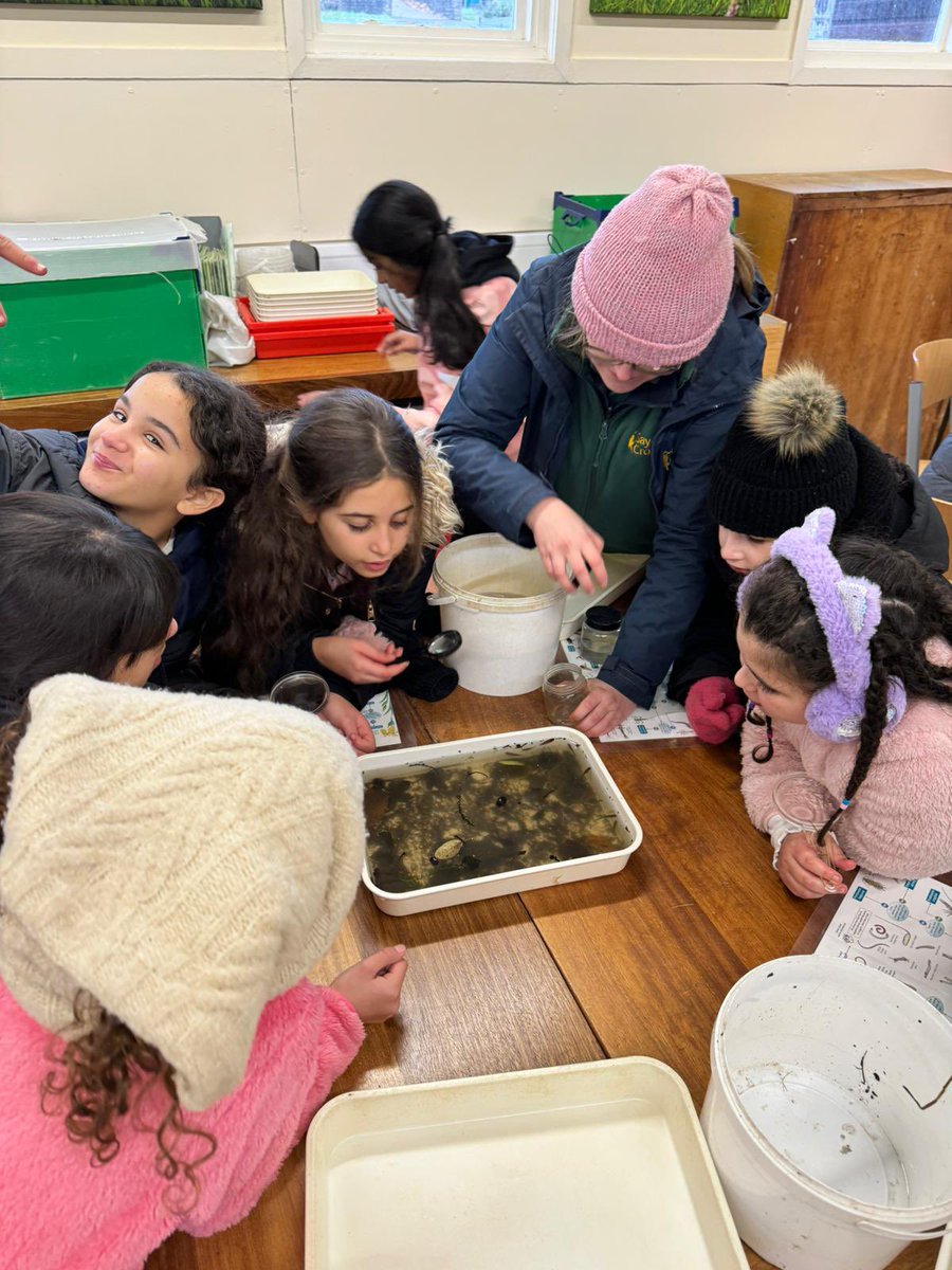 King Solomon Academy tweet media