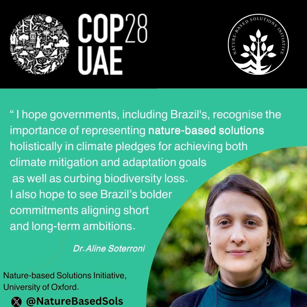 COP 28 - Everything you need to know - The Oxford Blue