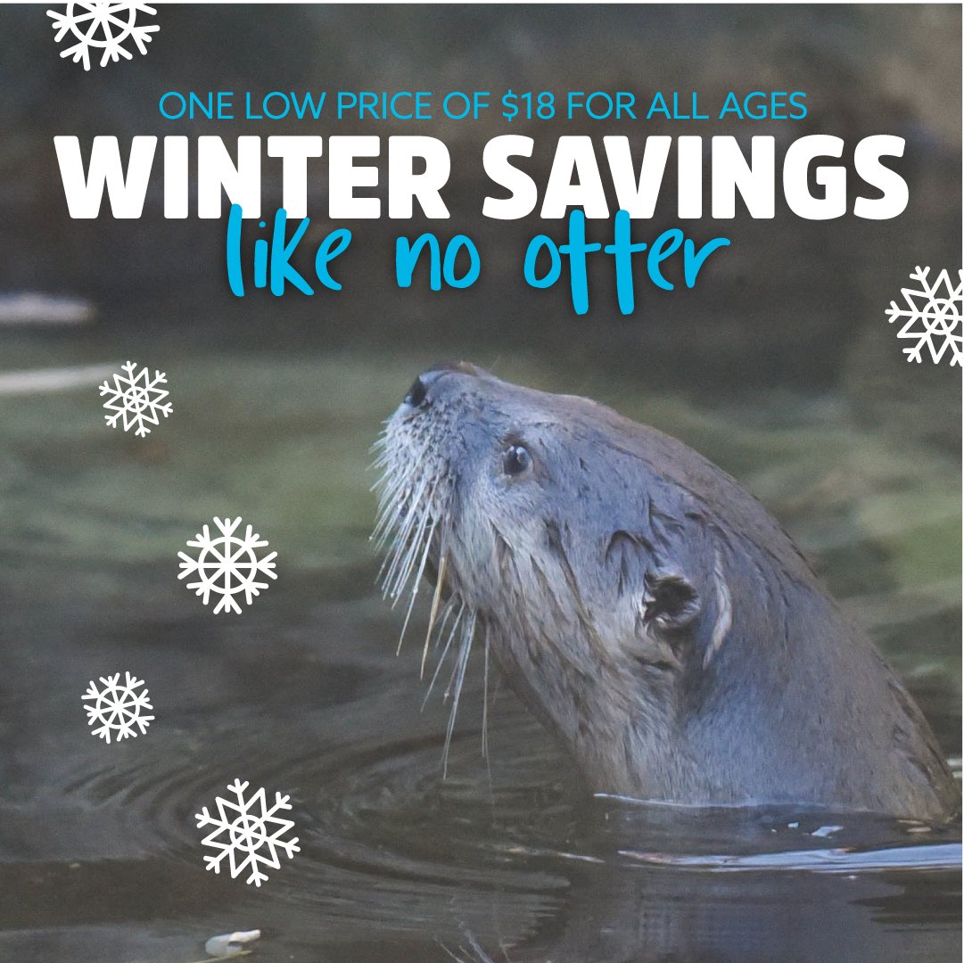 December brings all things merry, like winter savings at the Zoo! Starting tomorrow (12/1), admission is dropping with the temperature. Enjoy one low price for all ages, all winter long. Plan your visit: bit.ly/2P2Wy7i ❄️