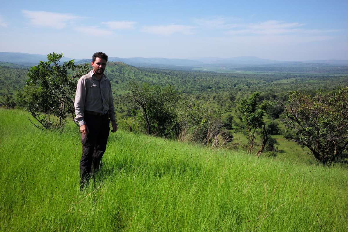 Levison Wood tweet media