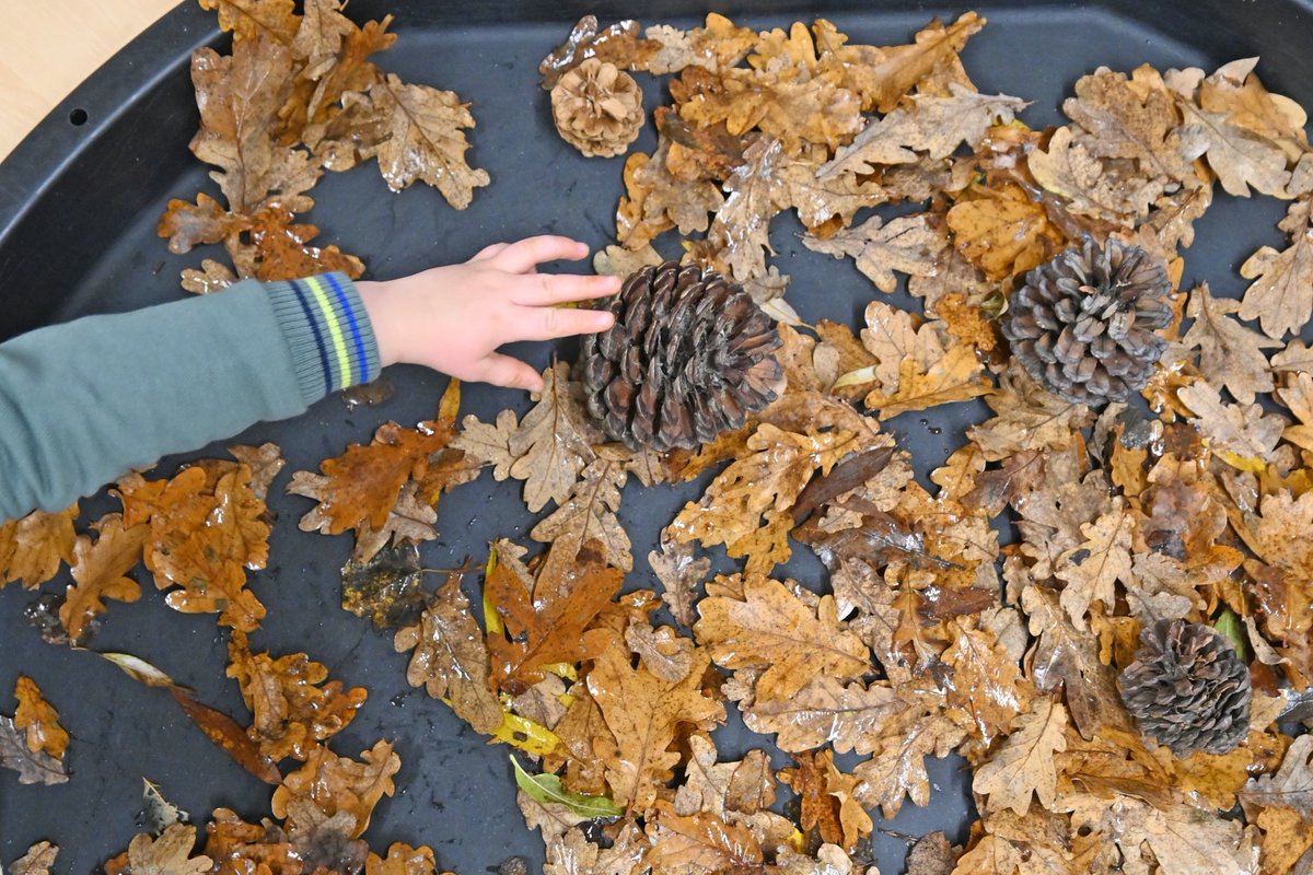 TigersNurseries's tweet photo. At Tigers we love exploring using natural materials that we collect from our outside areas and use in our play. We can explore, examine and create with these. #EYFS #NDNA https://t.co/YphsiLoRfP