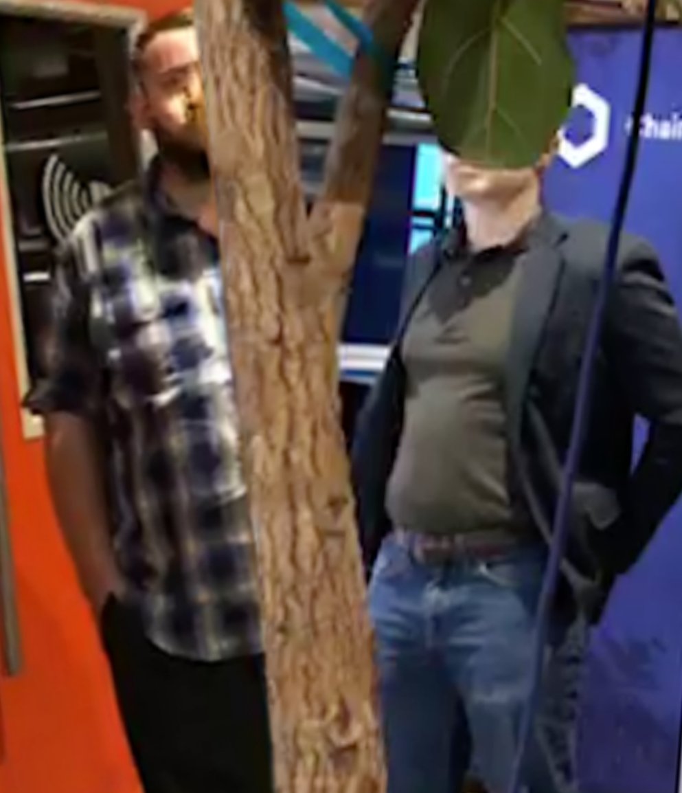 Auerhahn (@piepmannscher) on Twitter photo 