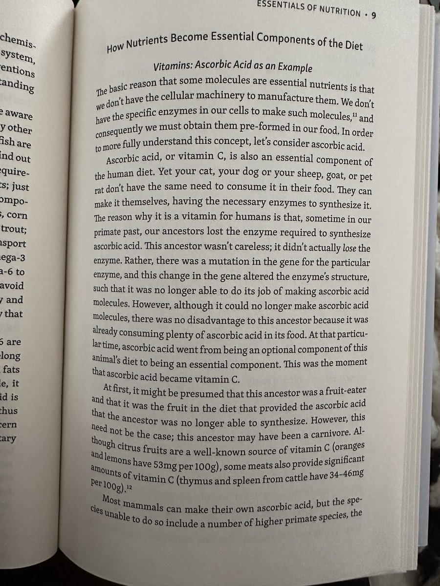 MEATritionCom's tweet photo. #OmegaBalance says right off the bat our ancestors may have been carnivores because meat contains it too. https://t.co/yGYPsmXtVA