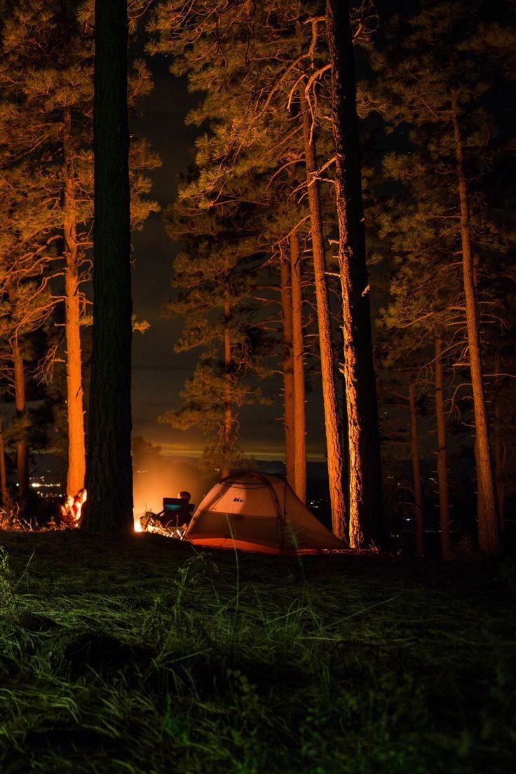 Chúc mọi người ngủ ngon nhé

Cmt mai mình trả
#GoodnightEveryone