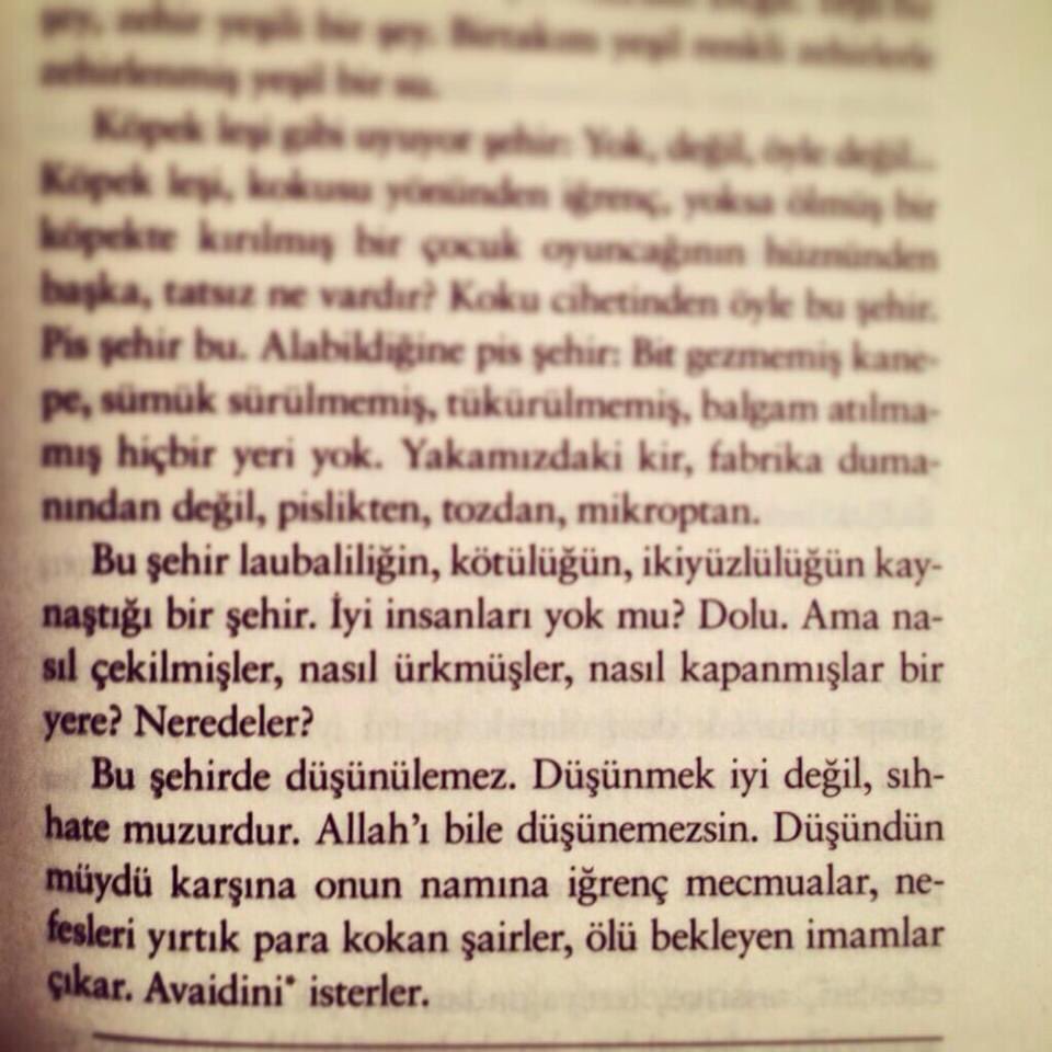 Herkes bakar geçer, Sait Faik görür, anlatır. “Söylendim durdum”hikayesinden ;

🦋🖖

#SaitFaikAbasıyanık