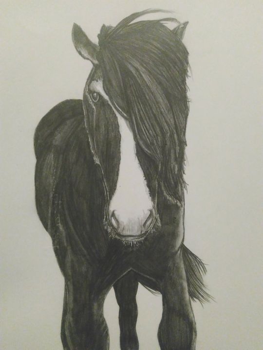 PsyKev88's tweet photo. Art of the Day: "An Emo Horse Called Faith". Buy at: https://t.co/d45LvZCTMd https://t.co/6DWe1iz46V