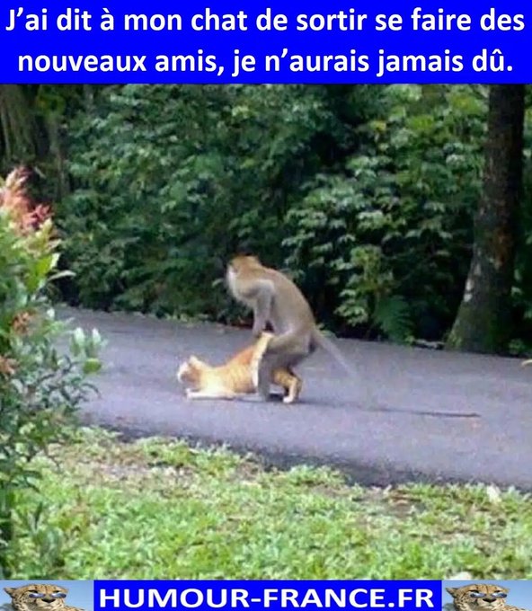 text alternatif