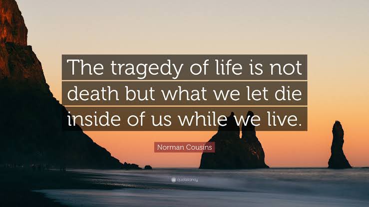 SamKhs_'s tweet photo. "The tragedy of life is not death but what we let die inside of us while we live." Norman Cousins
Don’t let die the truth inside you. Speak up against #ManipurKukiZoGENOCIDE by the majority Meiteis under the watchful eyes of the govt.
#InspirationalQuotes
#Positive_Thinking https://t.co/RhJ3yQkk1u