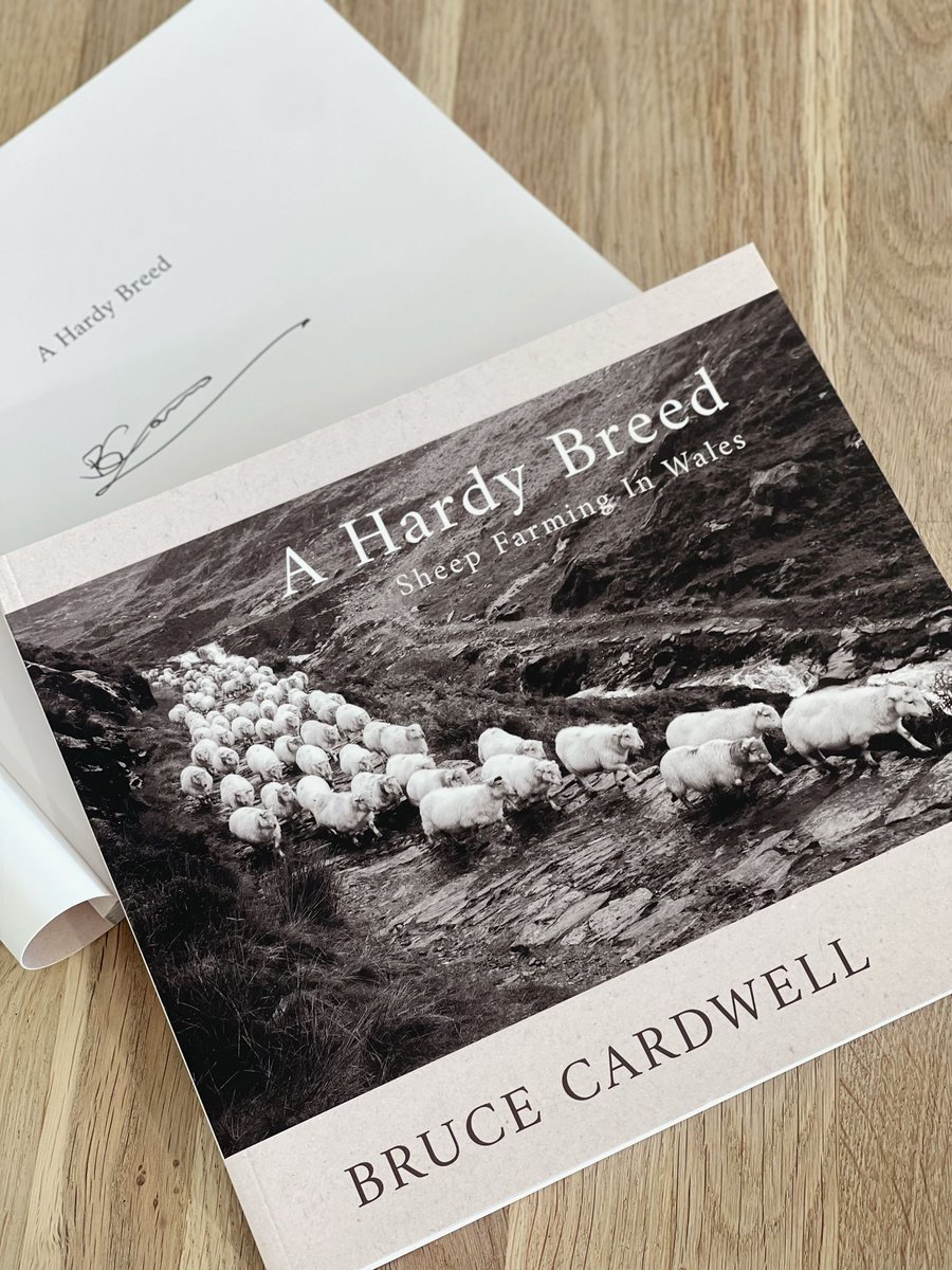📚Today we had the pleasure of welcoming Bruce Cardwell, the author of 'A Hardy Breed - Sheep Farming in Wales'! What makes it even more special? It features our very own shepherd, Pete! 🐑 @SerenBooks