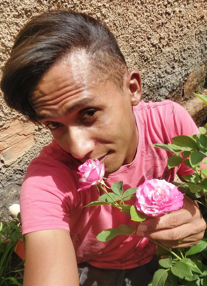 Lindo demais  minha rosa 😍