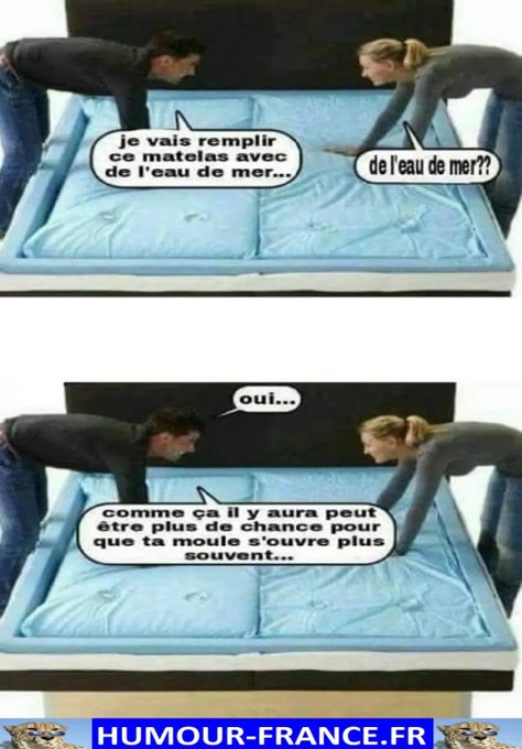 text alternatif