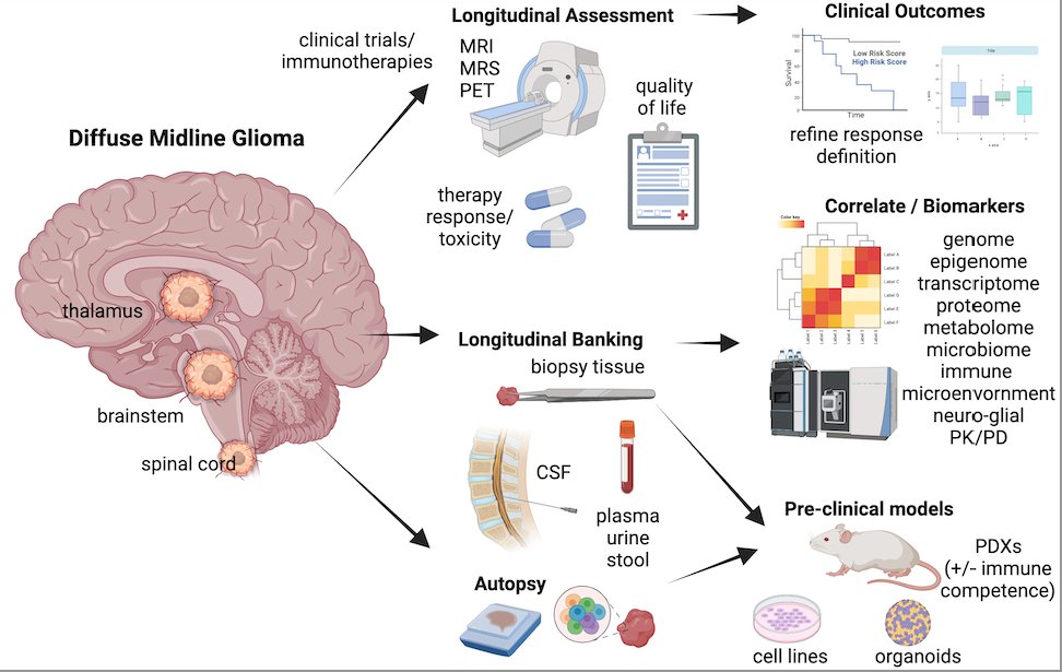 Vennetilab (@vennetilab) on Twitter photo So happy to share our consensus paper on understanding and treating #DIPG from the <a href="/chadtough/">ChadTough Defeat DIPG Foundation</a> foundation workshop held this year in #AnnArbor. Thank you to our amazing scientists, collaborators, and families who made this possible!!!
cell.com/cancer-cell/fu… So happy to share our consensus paper on understanding and treating #DIPG from the <a href="/chadtough/">ChadTough Defeat DIPG Foundation</a> foundation workshop held this year in #AnnArbor. Thank you to our amazing scientists, collaborators, and families who made this possible!!!
cell.com/cancer-cell/fu…