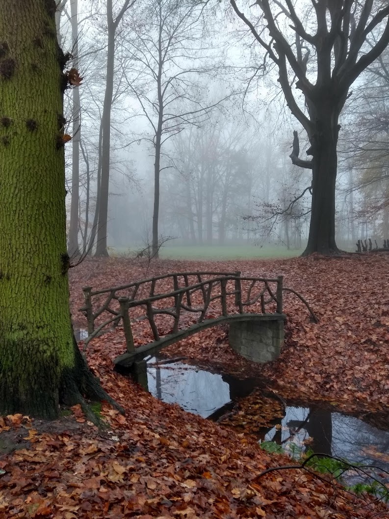 wimboermans's tweet photo. #vrtweer https://t.co/q97sstaEDZ