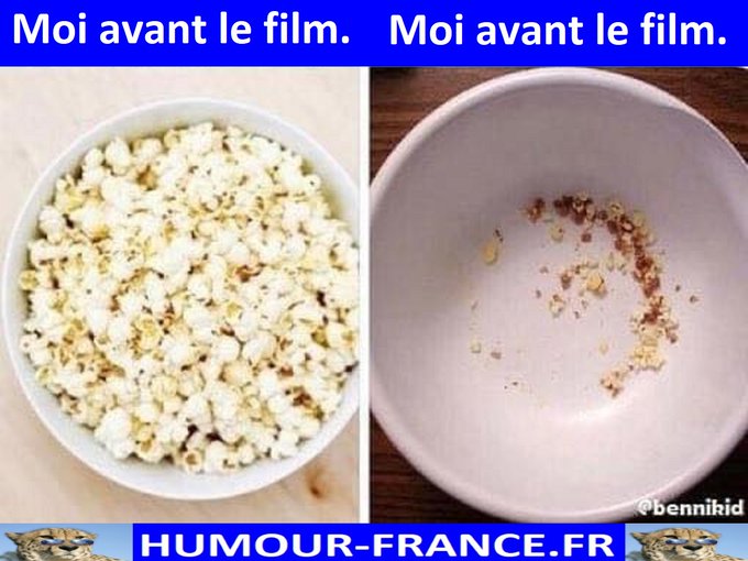 text alternatif