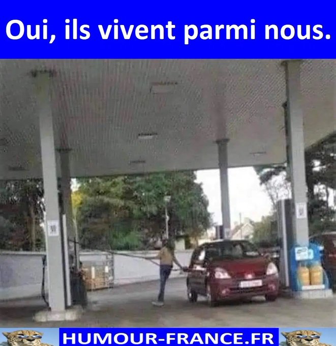 text alternatif