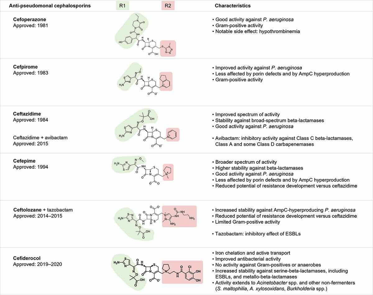 drtimothyli's tweet photo. Anti-pseudomonal cephalosporins and their characteristics

https://t.co/qWhPDN6LJI https://t.co/vaBsYwvnzs