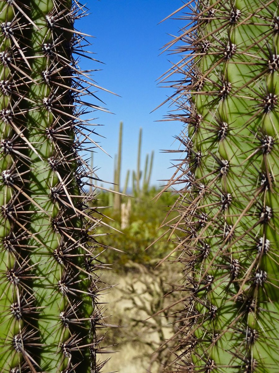 Roger Naylor tweet media