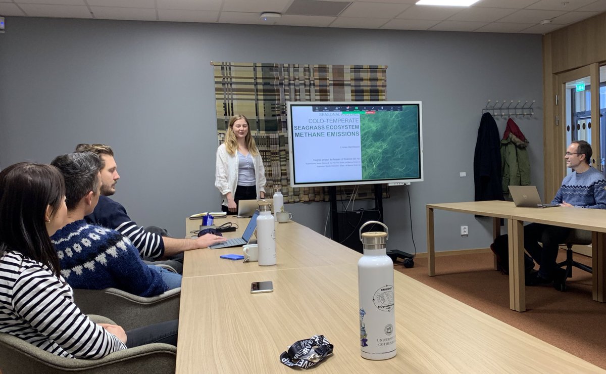 Barefoot_Lab's tweet photo. Congrats to @diLinnex for delivering an awesome MSc seminar! 

Seagrass methane emissions do not seem that big after all. 

What a journey and what a privilege to continue working with you! https://t.co/gjid8QbwWp