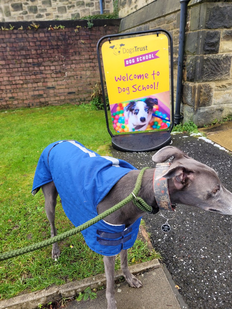 Reg🌈Rosie, Alice 🌈 and Wilf tweet media