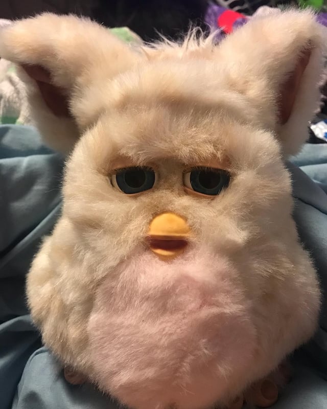 professional Worm🔞 commissions open tweet media