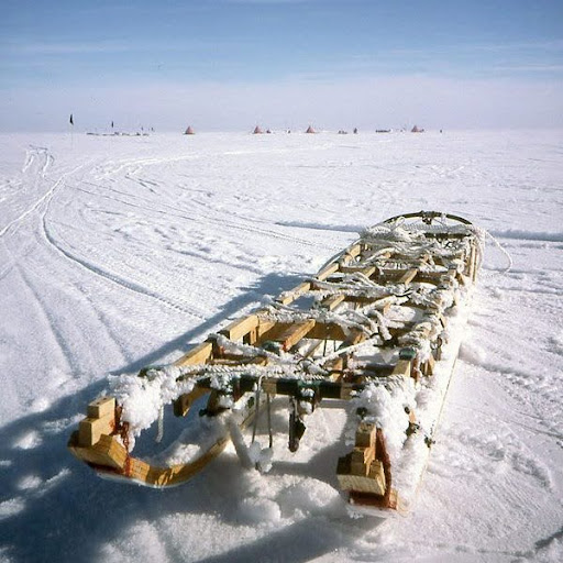 A beautiful snowy scene from Ratcliffe-Ellis

Ratcliffe-Ellis have been making sledges for arctic exhibitions since the early 1990s and we are proud to supply them with prime British Timber for the job.
Find out more at ratcliffe-ellis.com

#sledge #carpentry #timber