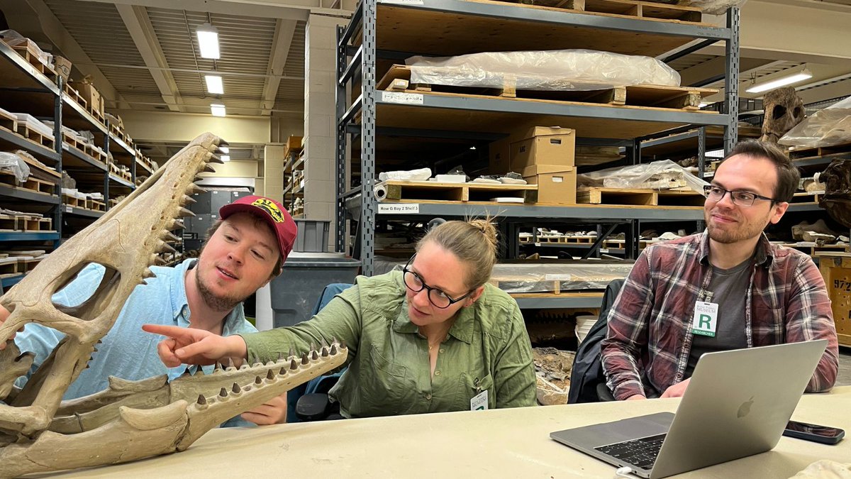 Royal Tyrrell Museum of Palaeontology tweet media