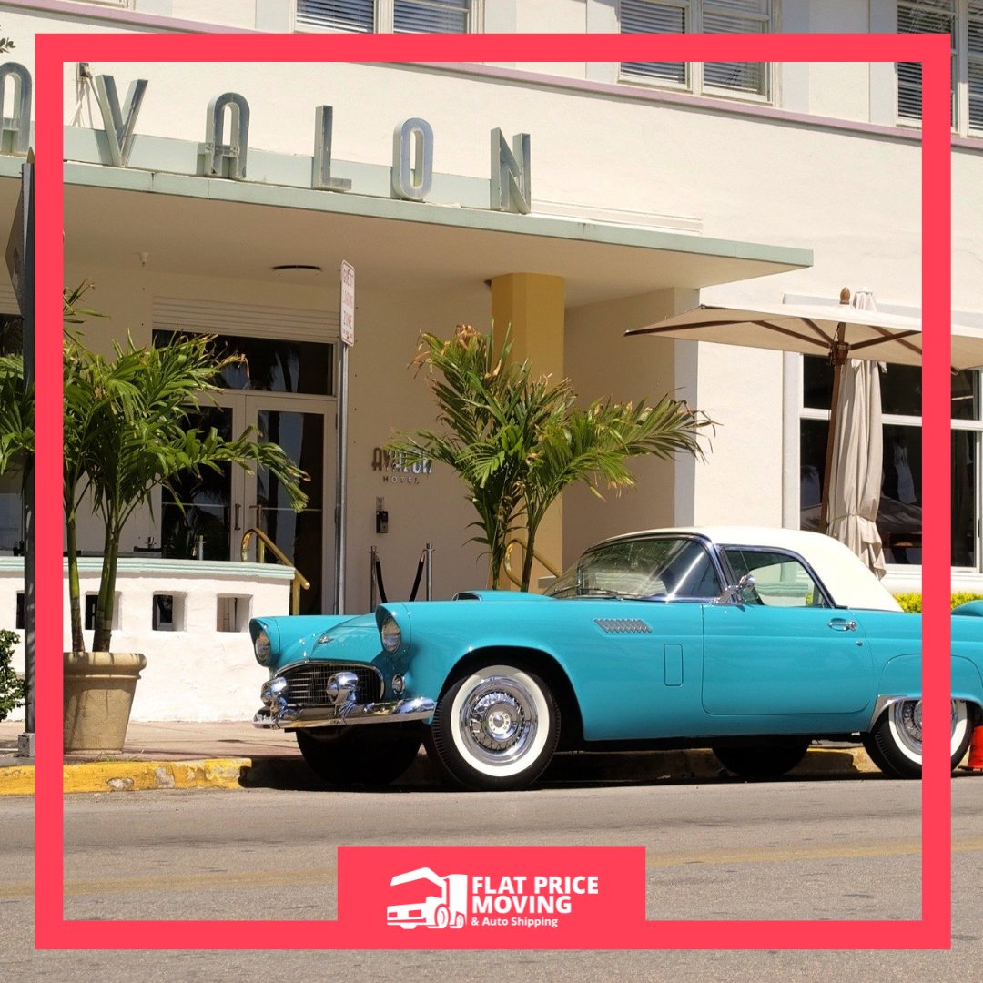 flatpricemoving's tweet photo. Hit the road with confidence! Check out our latest blog for essential do's and don'ts when transporting your car to another state. 🚗💡

https://t.co/1RXtQctQRn

#CarTransportTips #SmoothMove #longdistancemoving #movingcompany #flatpricemoving https://t.co/F8WjNNgbdw