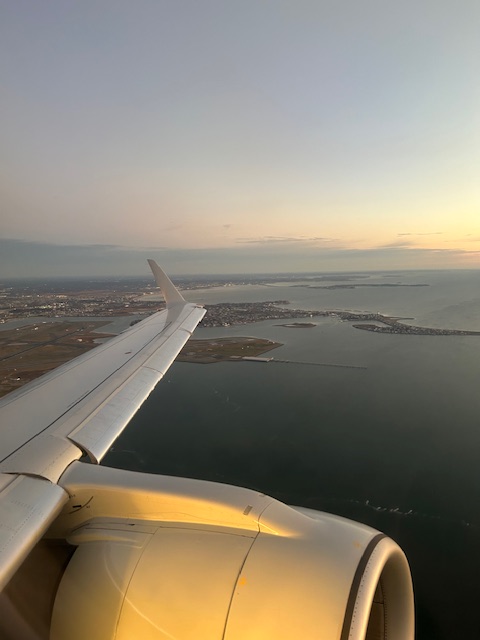 Ready for #ENRS2024 meeting preview #3? You're on a plane, reading/napping/on emails/watching movie.

Overhead: is there a doctor on this flight

You: but I'm a radiologist, am not panicking, but is anyone else responding, no way I'm the only doc here is this even happening....