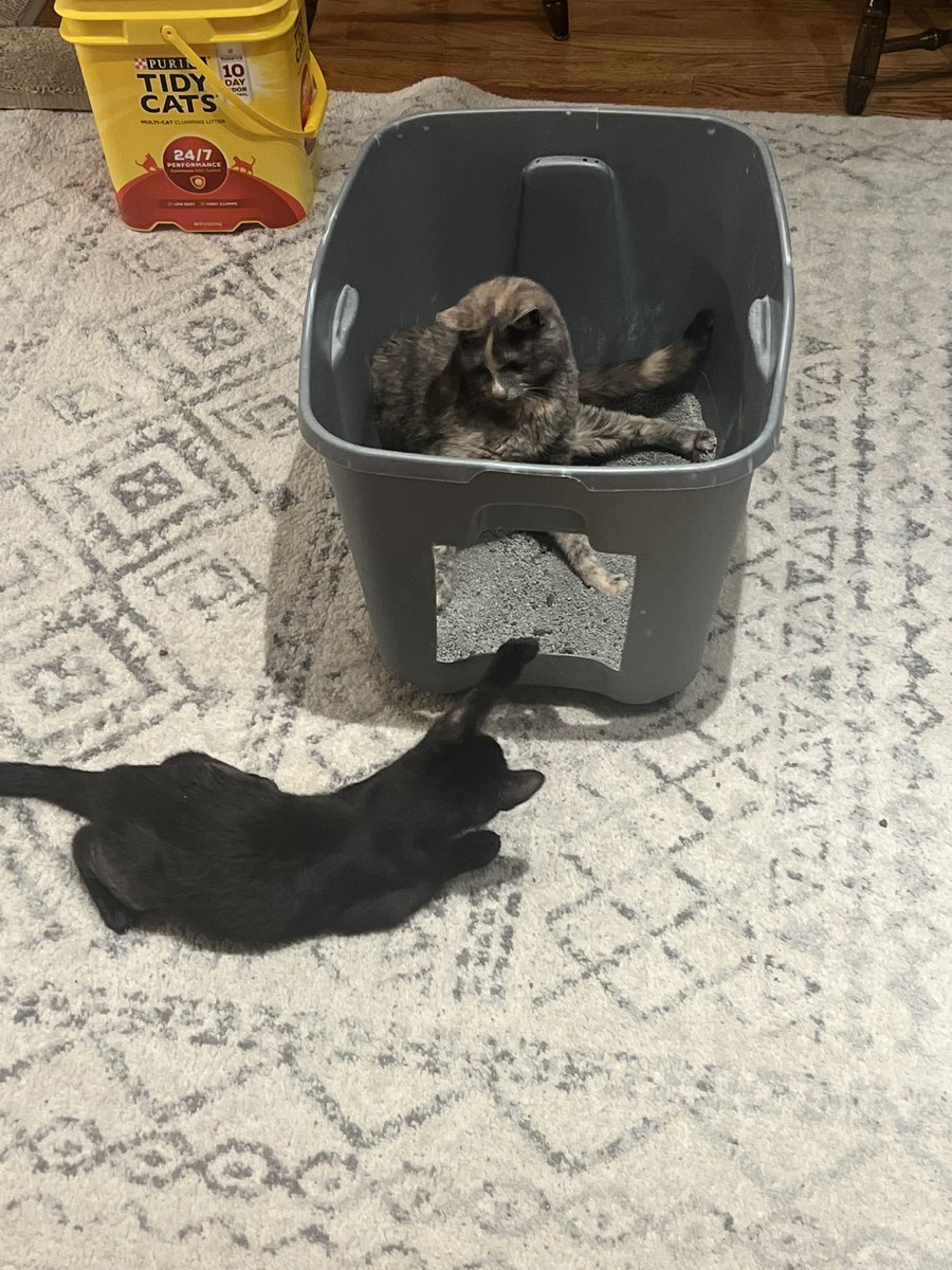 RuthWobbles's tweet photo. some privacy please????? https://t.co/T7YtxVTZy6