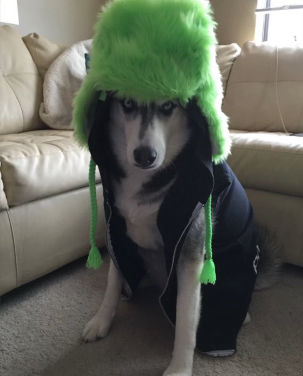 I’m not sure why I have a X account Nobody listens here Nobody cares, just the hackers trying to break into my account. Trust me pal Vet bills broke the bank, I sold/gave/lost everything, I have nothing to steal. You don’t want my life. It’s just full of sadness. #nadiaroseknows