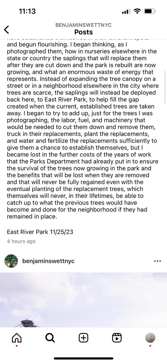 a thousand people a thousand trees tweet media